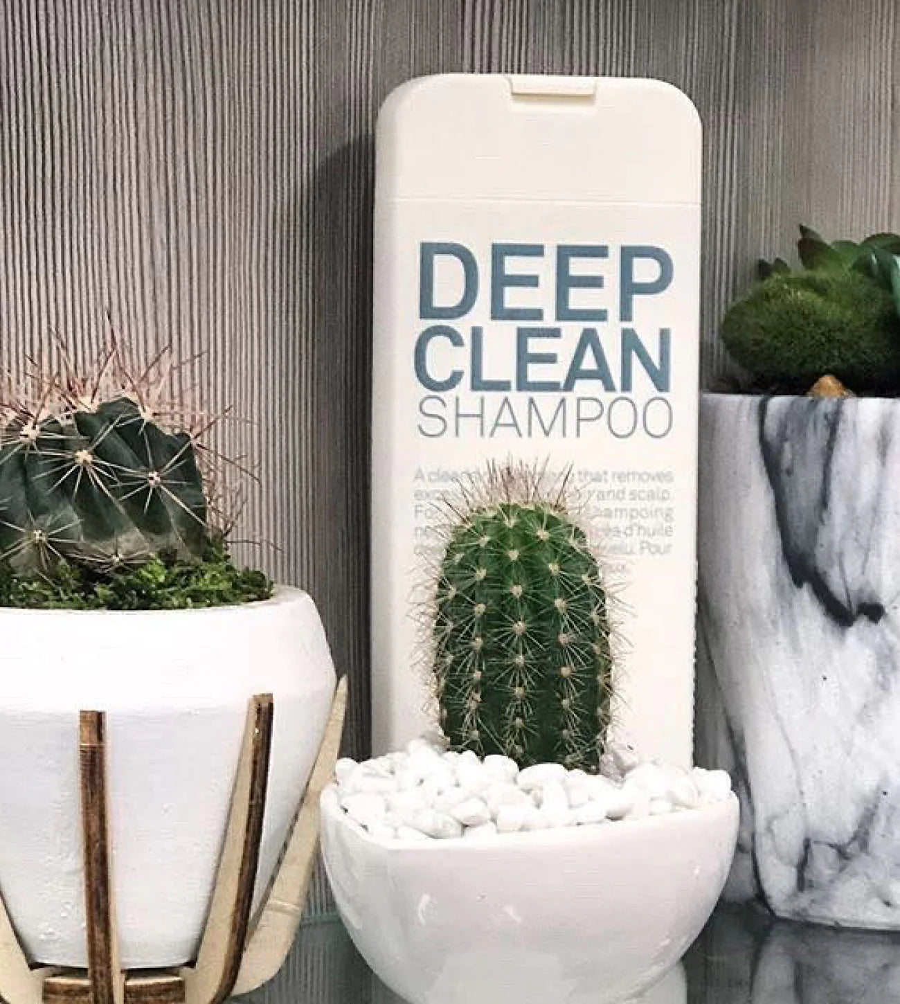 Shampooing clarifiant